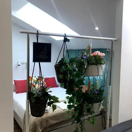Insidehome - La Casita De Ursula * Palência